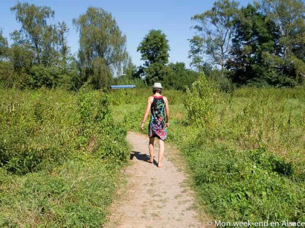 senso-ried-path-barefoot