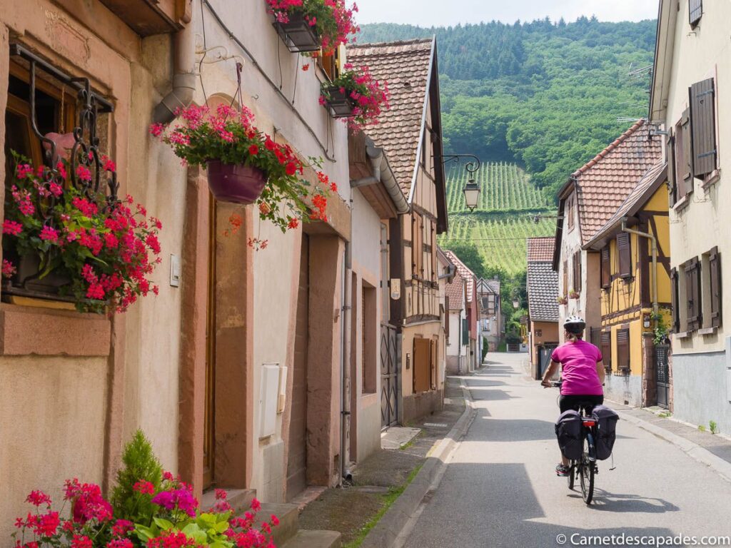 Alsace Wine Route by bike - Short guide
