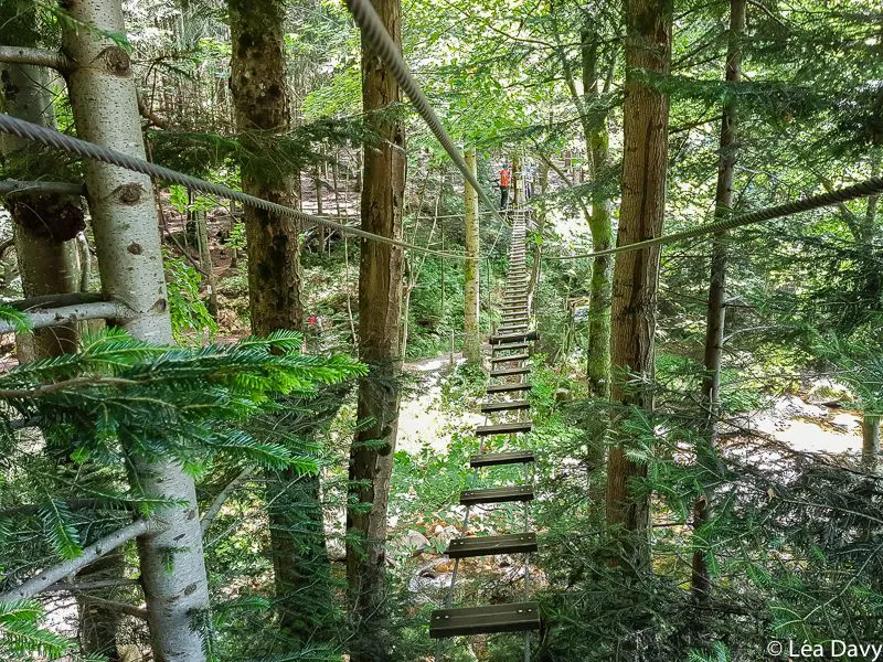 Bol d'Air in La Bresse - Adventure park, strong sensations or family fun 1 park-adventure-bol-air