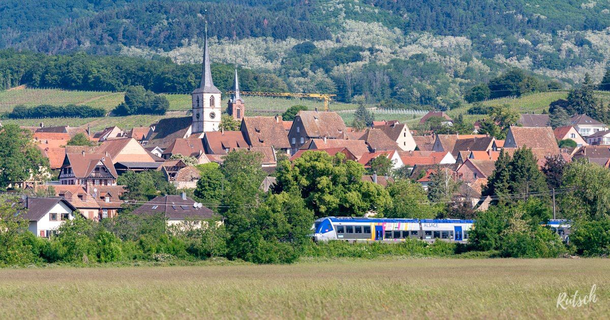 Alsace Without a Car—21 Ideas for Sightseeing and Activities 1 A TER train traveling through the heart of the Alsatian vineyards