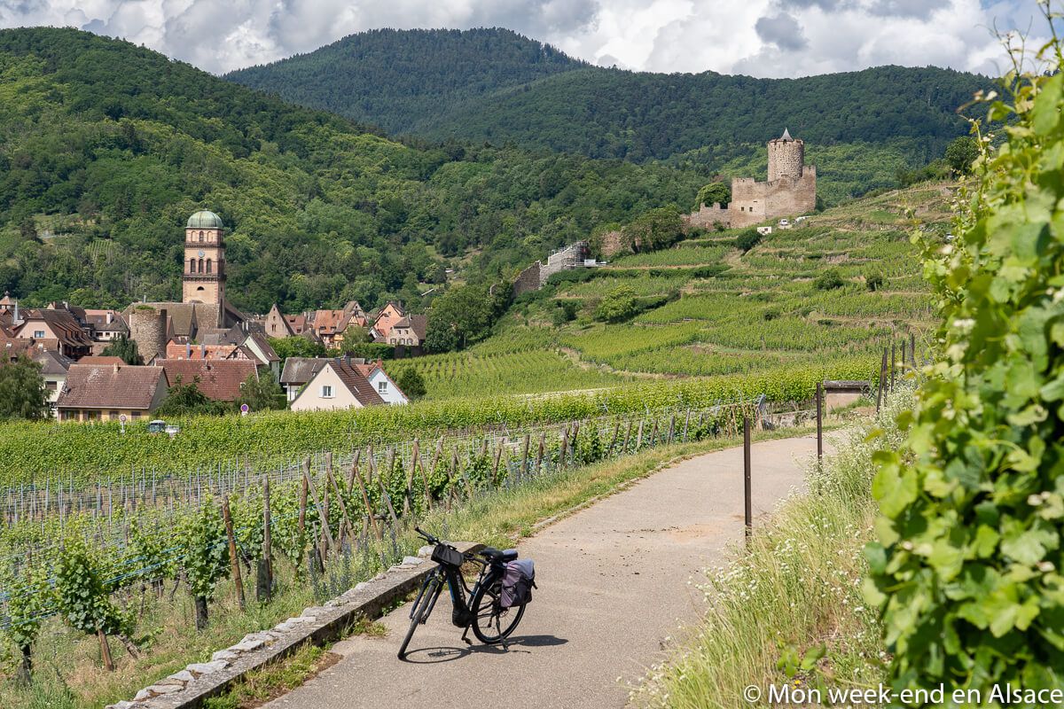 Bike tour around Kaysersberg (20km) 1 Bicycle parked on the hills above Kaysersberg, overlooking the vineyards