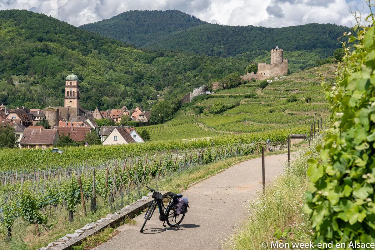 Bicycle parked on the hills above Kaysersberg, overlooking the vineyards