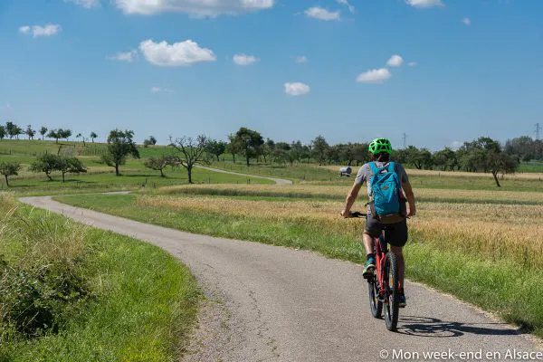 loop-velo-alsace-bossue