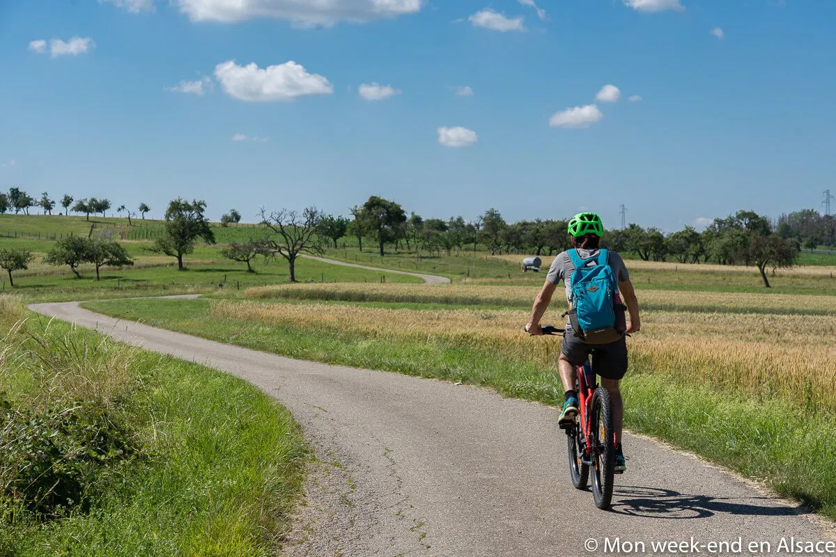 Cycle route - La Sarre, between forests and orchards (20km)