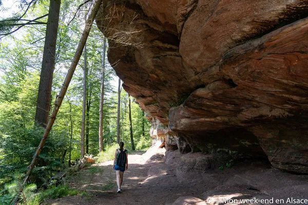 rock-paiens