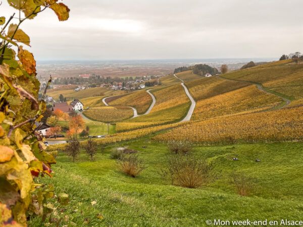 landscape-rando-schnaps-sasbachwalden