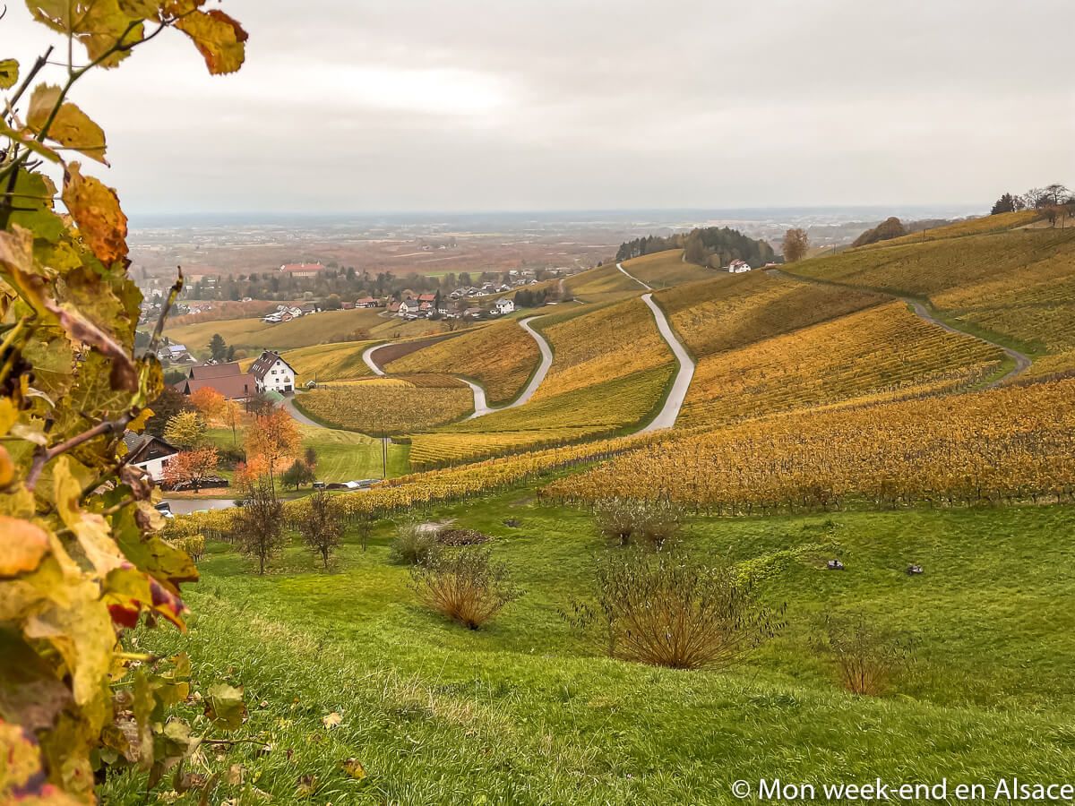 Schnapps walk in Sasbachwalden (Germany) 1 landscape-rando-schnaps-sasbachwalden