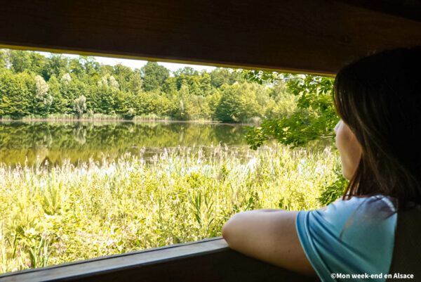 observatory-ornithology-haguenau