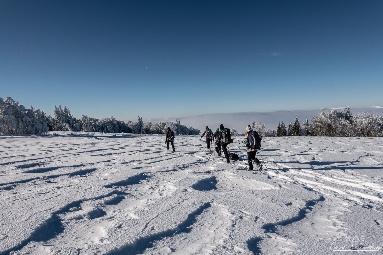 rando-raquette-vosges-alsace