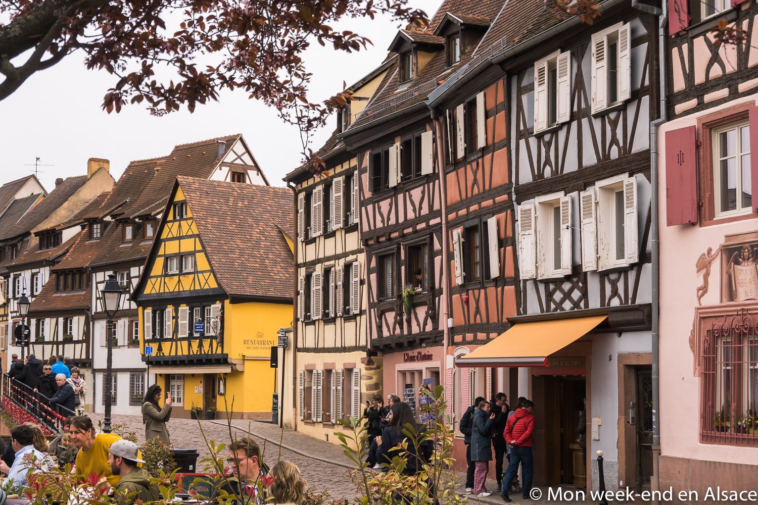 colmar-quai-fish factory