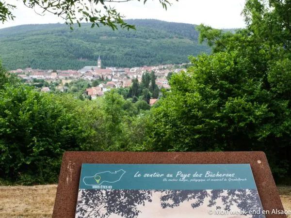 trail-bucherons-vue-grendelbruch