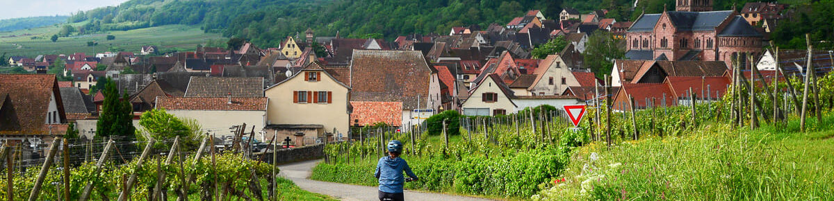 Electric bike ride on the Wine Route with Alsa Cyclo Tours 1 An e-bike rider on the Wine Route in Gueberschwihr