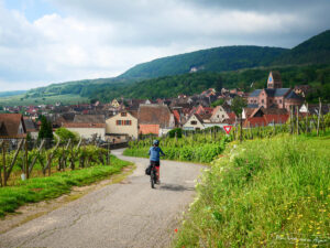 An e-bike rider on the Wine Route in Gueberschwihr