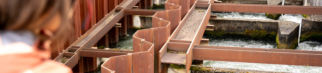 visit-privilege-pass-fish