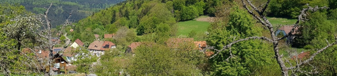 Landscape on the way to Col de la Perheux