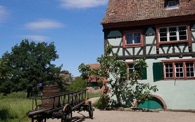 Visit the Alsace Ecomuseum