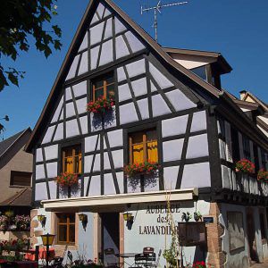 half-timbered house-bergheim