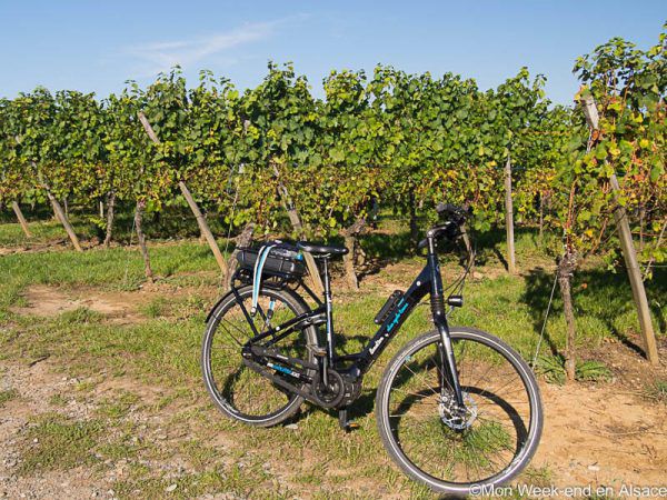rental-electric-bike-alsa-cyclo-tours