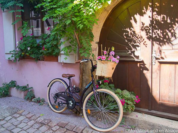 velo-alsa-cyclo-tours-eguisheim