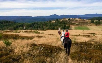 The Vosges on horseback with Cheval Alsace