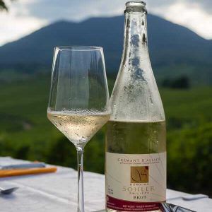 tasting-wine-domaine-sohler-philippe
