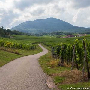 nothalten-route-wine-alsace