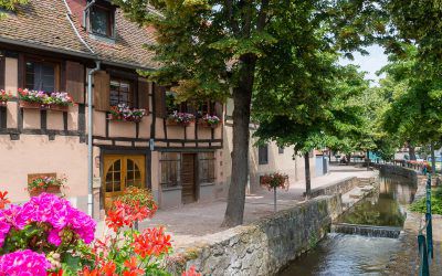 Gourmet walks in Alsace, or how to combine walking and gastronomy!