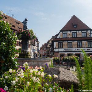 barr-route-wine-alsace