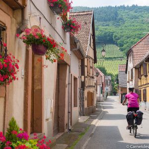 chatenois-velo-alsace