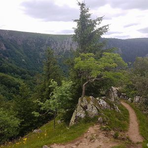 hike-hohneck-reserve-frankenthal