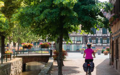 Alsace by bike – 20 ideas for bike rides and bike paths where to pedal
