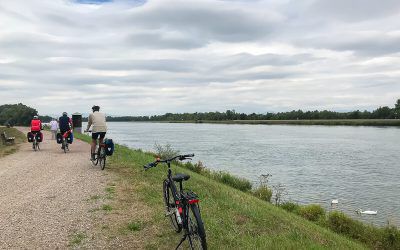 Cycling itinerary – The Rhine jungle, between France and Germany (3h)