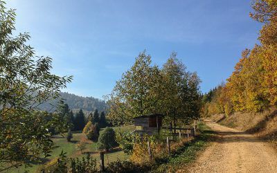Stroller path of the Urbeis pass – Nature and gourmet day in the Val de Villé