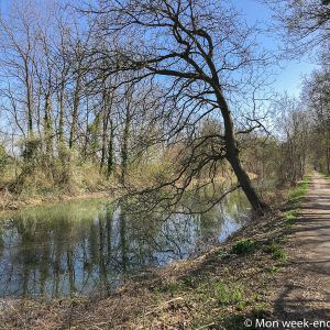 canal-alsace-cycling-road