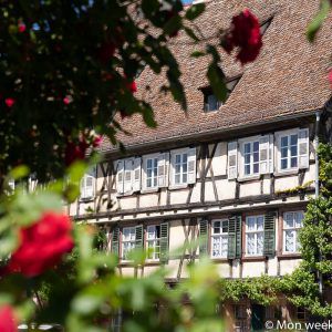 half-timbered house-wissembourg