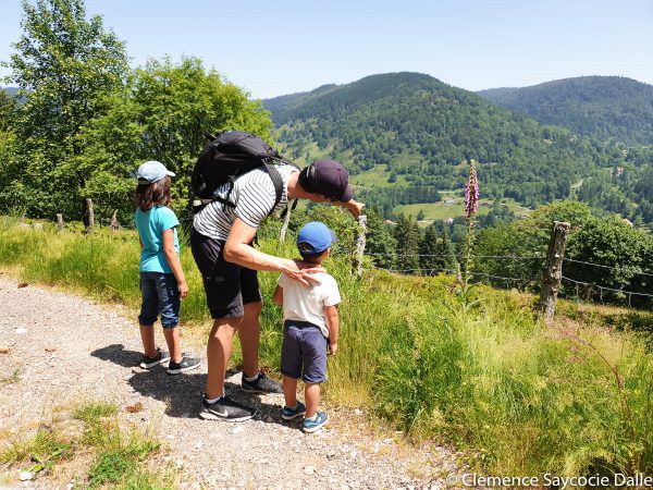 game-track-family-vosges
