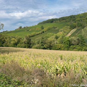 landscapes-greenway-rosheim