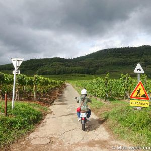 electric-motorcycle-rental-wine-road