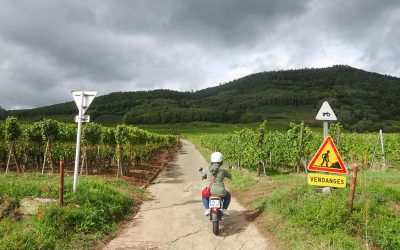 Electric motorcycle ride on the Wine Route