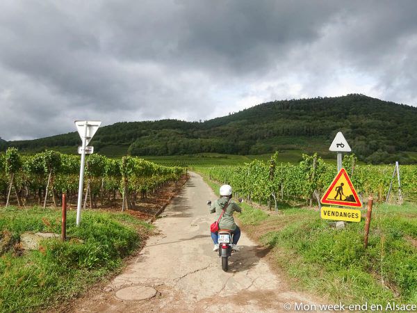 electric-motorcycle-rental-wine-road