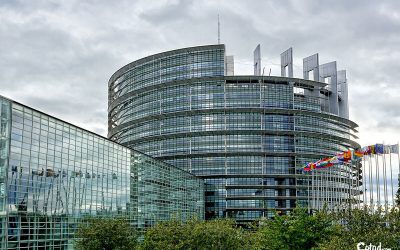 Visit of the European Parliament in Strasbourg