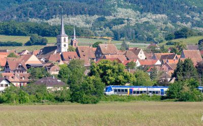 Alsace without a car – 20 ideas for visits and activities