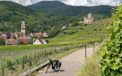 Itinerary of bike ride – Loop on the Alsace Wine Route around Kaysersberg (1h30)