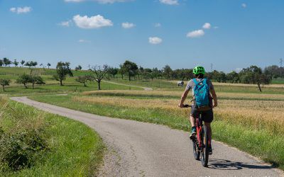 Bike tour – La Sarre, between forests and orchards (2h)