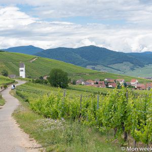 route-vins-katzenthal-alsace