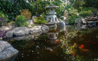 Explore a Japanese garden in Mulhouse