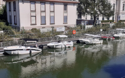 Rent an electric boat without a license in Mulhouse