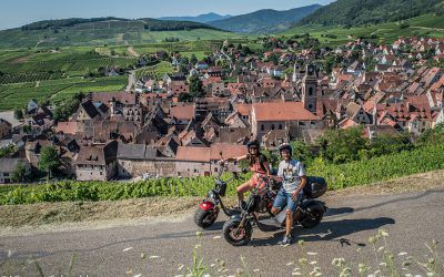 Travel through the vineyards on an electric scooter with Riqu’ecotours
