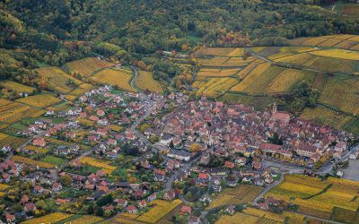 Introduction to airplane piloting in Colmar