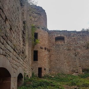 chateau-landsberg-ruines